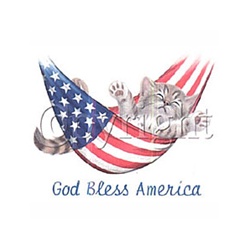 God Bless America Kitten Custom Night Shirt
