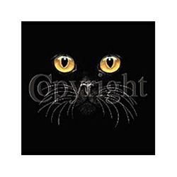 Cat Face With Eyes Custom Nightshirt