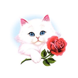 Kitten With Rose Custom Nightshirt