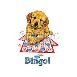 Bingo Puppy Custom Nightshirt