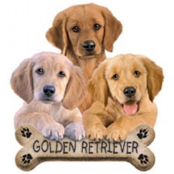 Golden Retriever Puppies Nightshirt