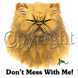 Don't Mess With Me Cat Custom Nightshirt,