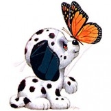 Dalmatian with Butterfly Custom Nightshirt
