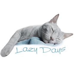 Lazy Days Cat Custom Nightshirt