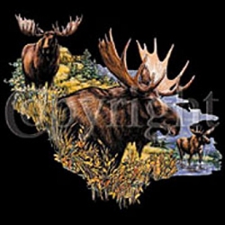 Moose Collage Custom Nightshirt