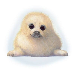 Seal Pup Custom Nightshirt