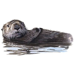 Sea Otter Custom Nightshirt