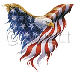 Eagle American Flag Custom Nightshirt