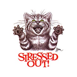 Stressed Out Cat With Claws Custom Nightshirt