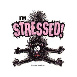 I'm Stressed! Cat Custom Night Shirt