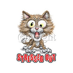 Stressed Out Cat Custom Night Shirt