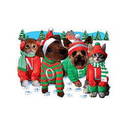 Dog & Cat Noel Custom Nightshirt