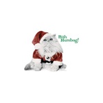 Bah Humbug! Santa Cat Custom Nightshirt