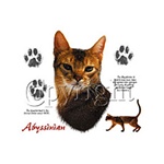 Abyssinian Cat Custom Nightshirt