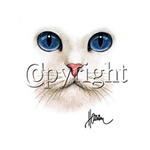 Cat Face Custom Nightshirt