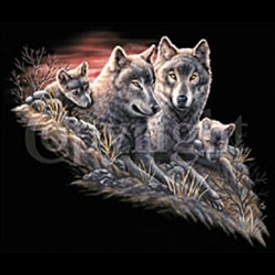 Wolf Family Custom Nightshirt