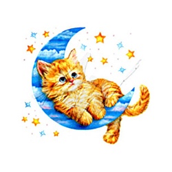 Kitten in the Moon Custom Nightshirt