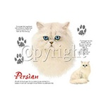 Persian Cat Custom Nightshirt