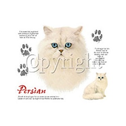 Persian Cat Custom Nightshirt
