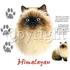 Himalayan Cat Custom Nightshirt