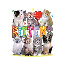 I Love Kittens Nightshirt