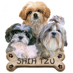 Shih Tzu Puppies Custom Nightshirt