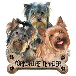 Yorkie Puppies Custom Nightshirt