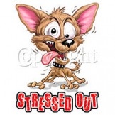 Dog- Stressed Out Custom Nightshirt