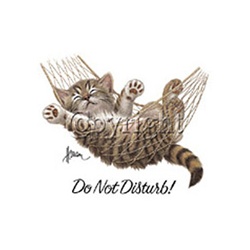 Do Not Disturb! Kitten Custom Night Shirt