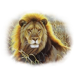 Lion Custom Nightshirt