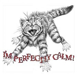 Perfectly Calm Cat Custom Nightshirt