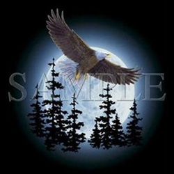 Eagle Moon Custom Night Shirt