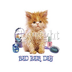 Bad Hair Day Kitten Custom Night Shirt
