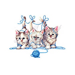 Triple Mischief Kittens Custom Night Shirt