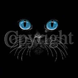Cat Face With Eyes Custom Nightshirt