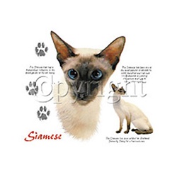 Siamese Cat Custom Nightshirt