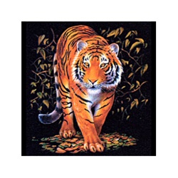 Tiger Custom Night Shirt